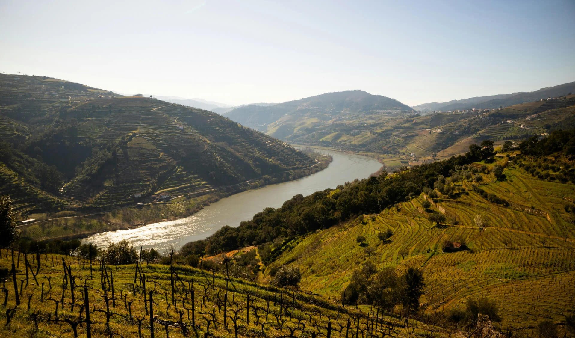 Douro River - Wine Route